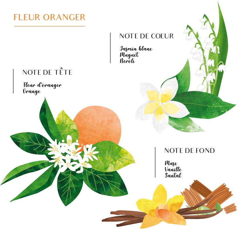 Recharge de Parfum et Spray d'Ambiance Fleur d'Oranger - Côté Bougie