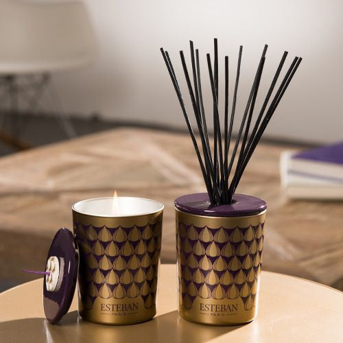 Bougie Décorative Parfumée & Rechargeable 180g - Esteban Paris
