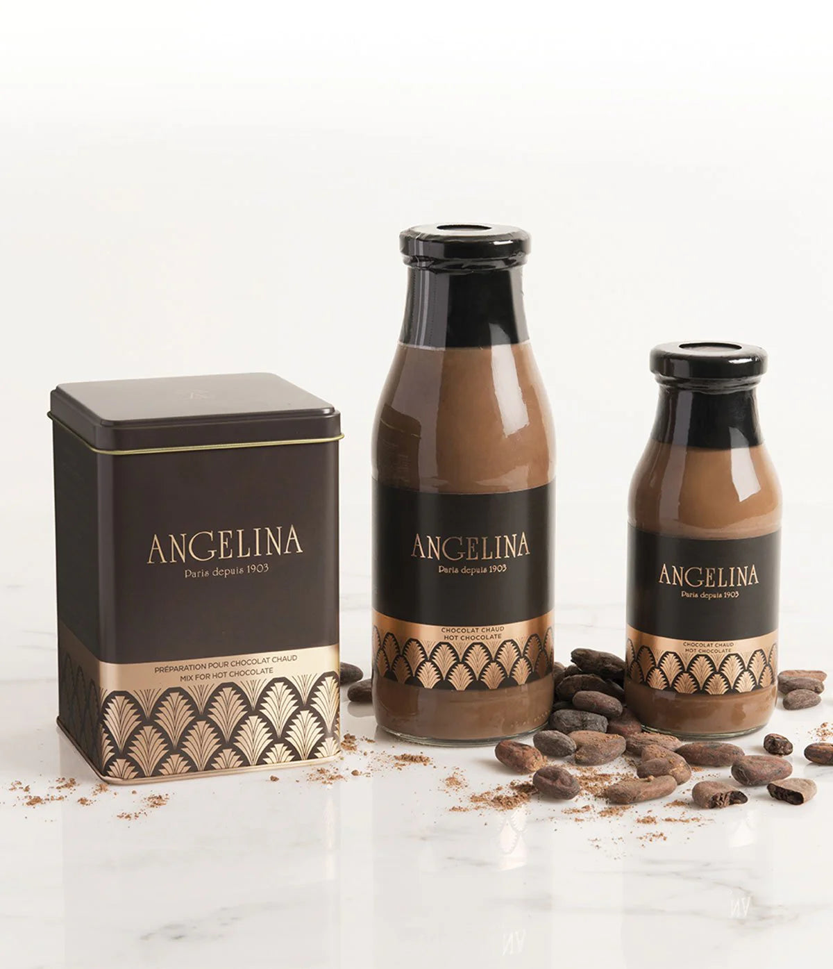Chocolat Chaud en Poudre 500 G - Angelina