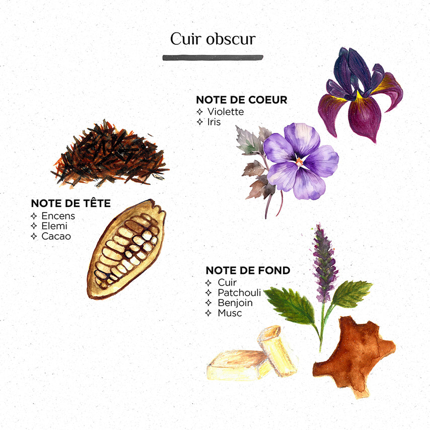 Huile à Bruler 100ml - Côté Bougie