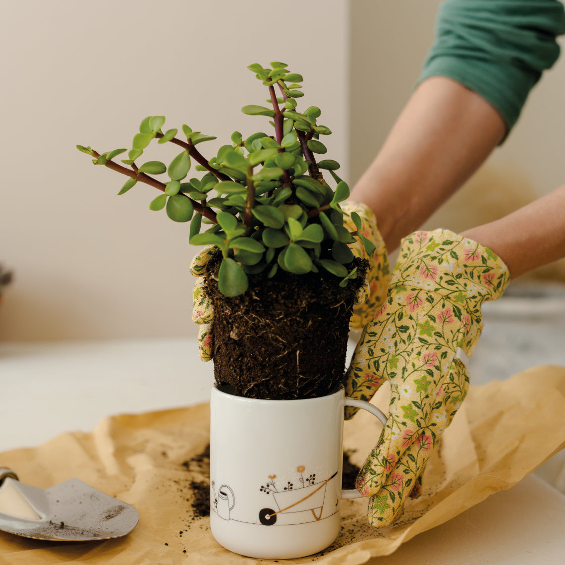 Tasse en Porcelaine Jardinage - Räder