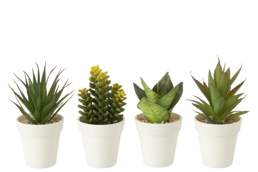 Assortiment de 4 Plantes En Pot Artificielles - Jolipa