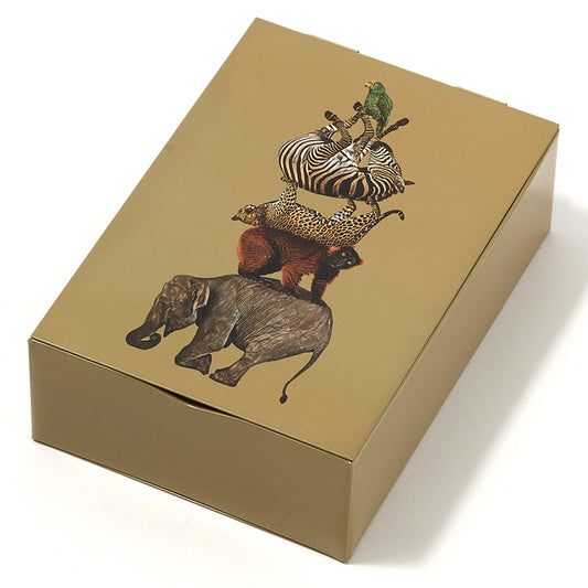 Boîte de Rangement Rectangulaire en Fer Culbuto - Gangzaï