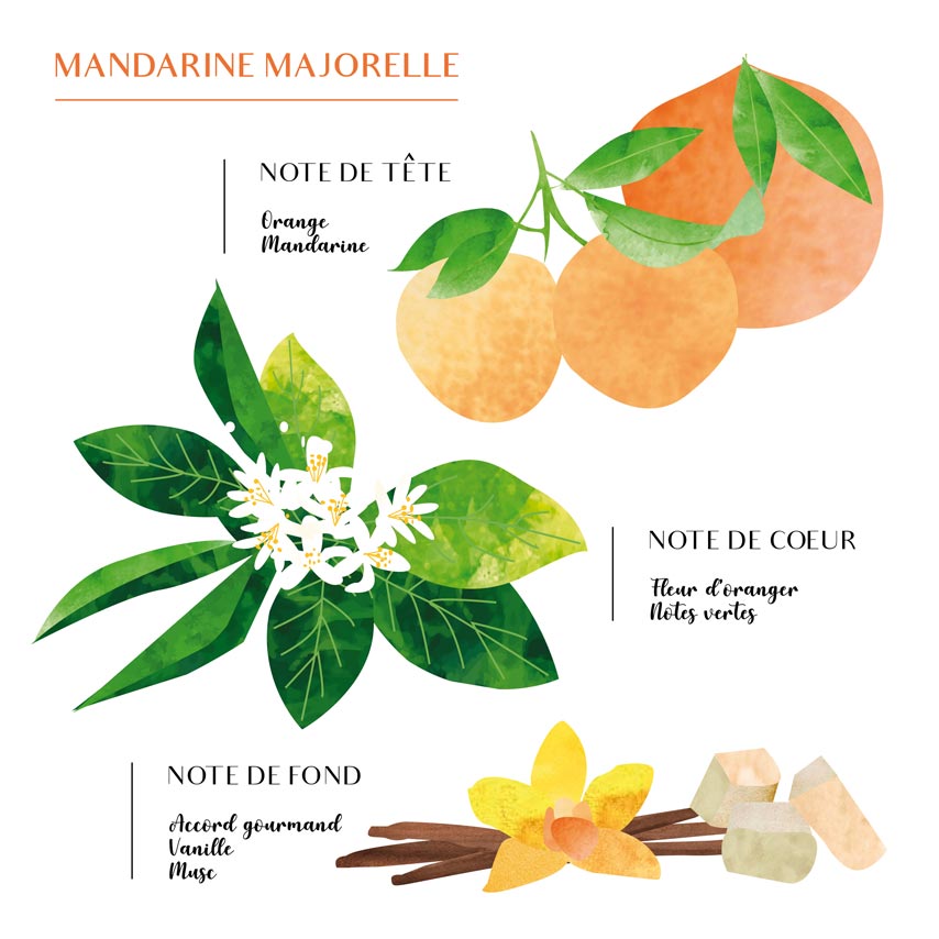 Diffuseur Bâtonnet Mandarine Majorelle - Côté Bougies