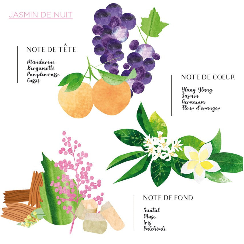 Spray 100ml Jasmin de Nuit - Côté Bougie