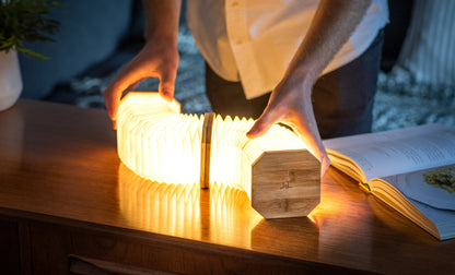 Lampe Accordéon Modulable 360° en Bois - Gingko