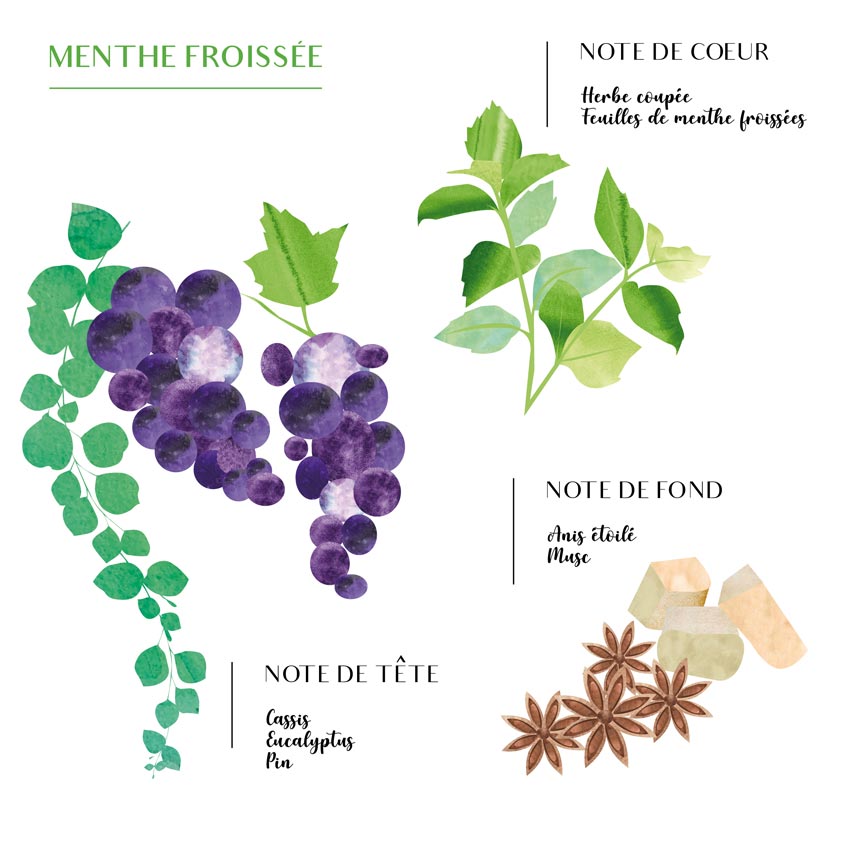 Bougie Parfumée Scents Of Morocco - Côté Bougie