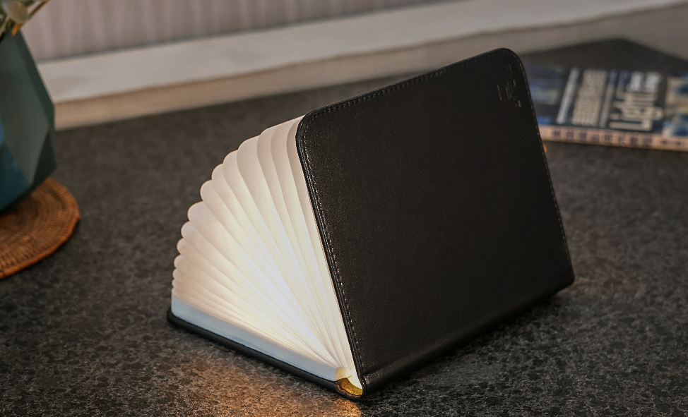 Mini Lampe Livre 360° LED en Cuir - Gingko