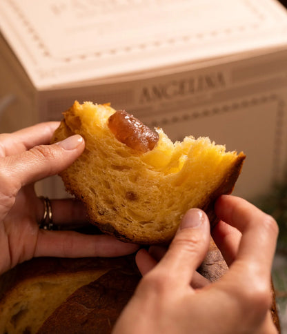 Panettone aux Marrons Glacés - Angelina