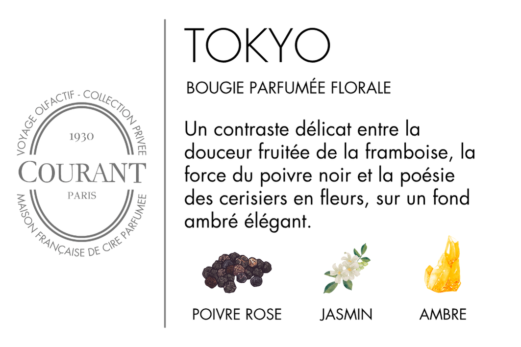 Bougie Parfumée Tokyo 230g, Jasmin & Ambre - Courant Paris
