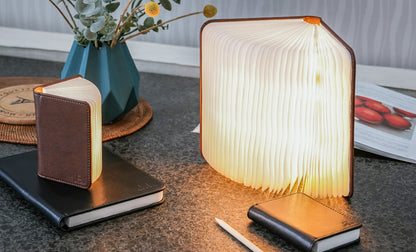 Mini Lampe Livre 360° LED en Cuir - Gingko