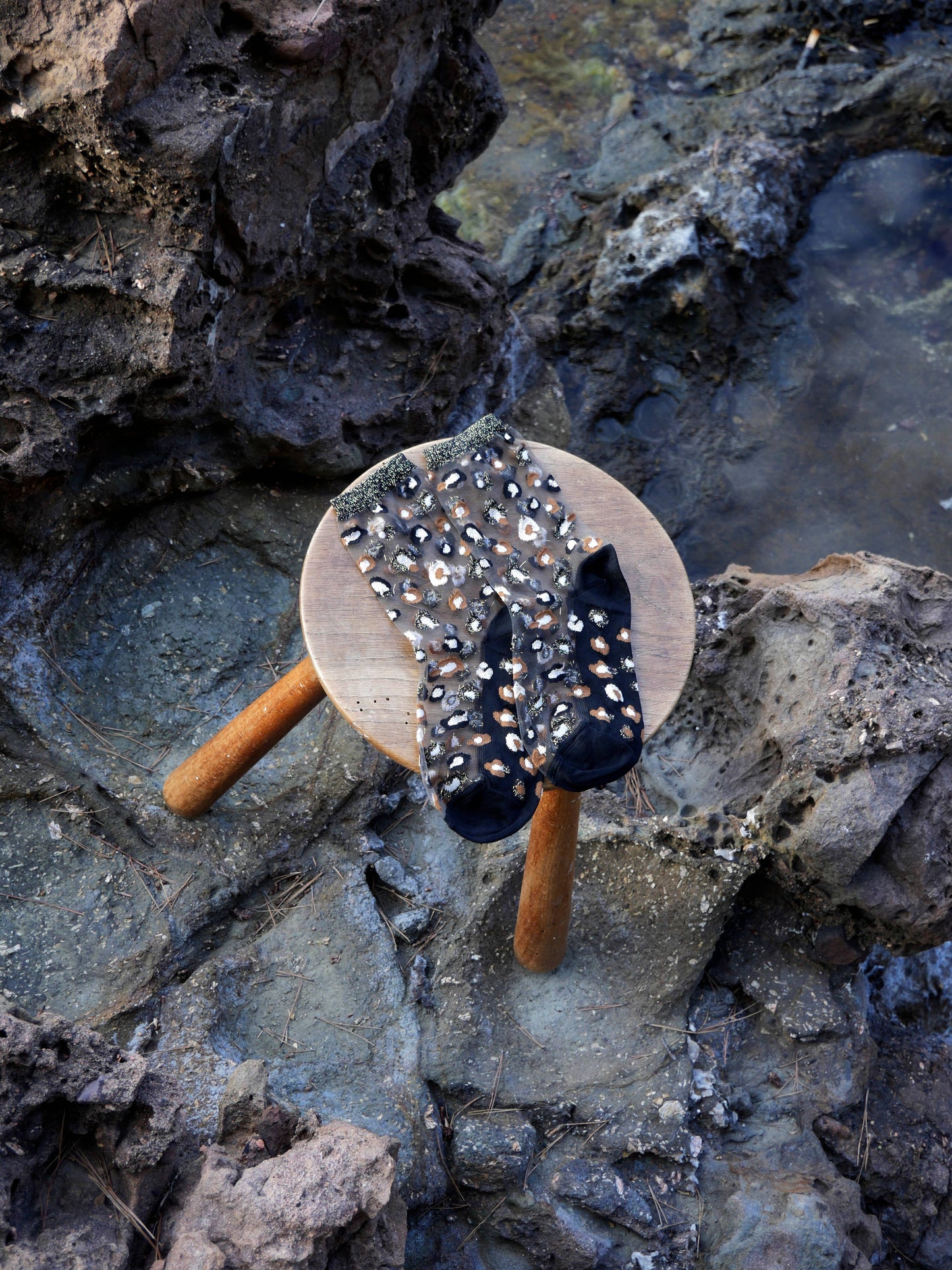 Chaussettes Transparentes Léopard 36/38 - Atelier St Eustache
