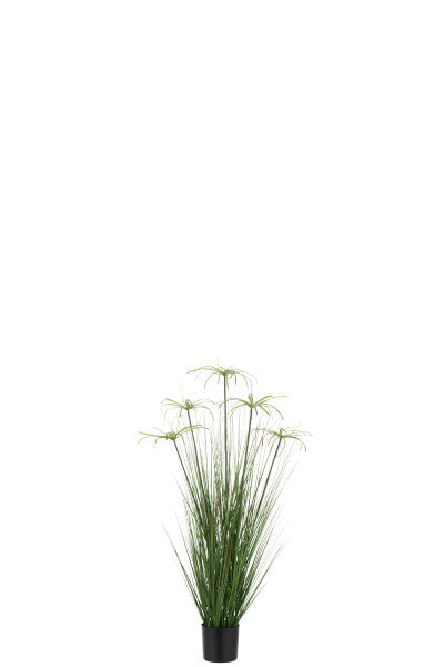 Plante Artificielle Cyperus Alternifolius 5 Têtes En Pot - Jolipa