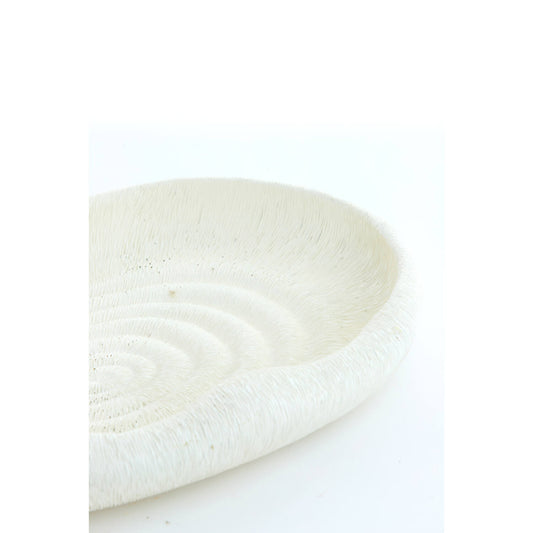 Vide-Poches Coquillage Blanc - Light & Living