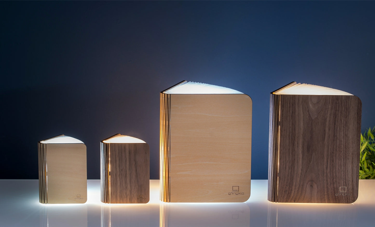 Lampe Livre 360° LED en Bois - Gingko