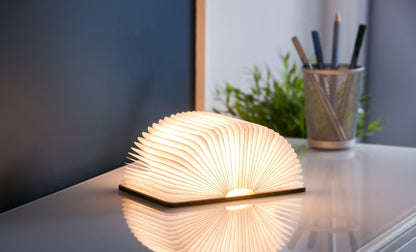 Lampe Livre 360° LED en Bois - Gingko