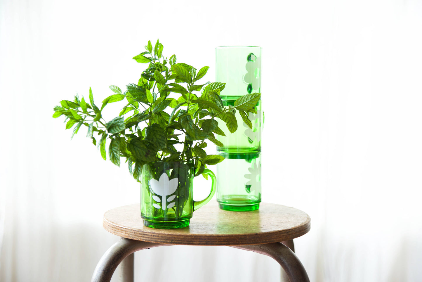 Set de 4 Mugs en Verre Rétros Verts Fleurs - Duralex