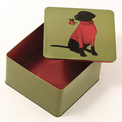 Boîte de Rangement en Fer Carré - Gangzaï
