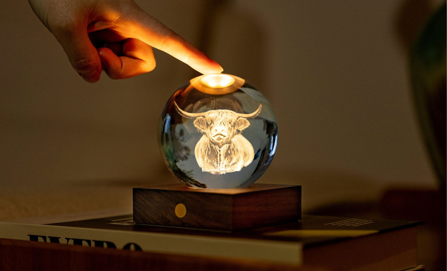 Lampe en Cristal Gravé avec Socle en Noyer - Gingko