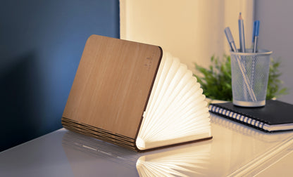 Lampe Livre 360° LED en Bois - Gingko