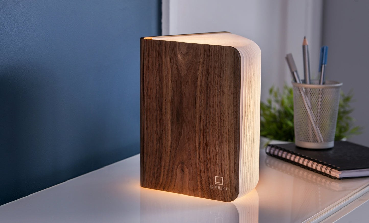 Lampe Livre 360° LED en Bois - Gingko