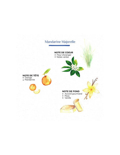 Bougie Coupe Zèbre Senteur Mandarine Majorelle - Côté Bougie