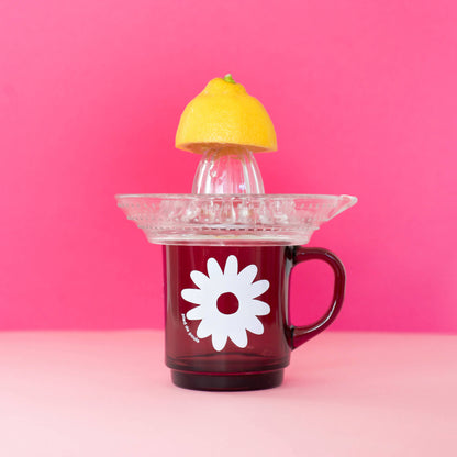 Set de 4 Mugs en Verre Rétros Prunes Fleurs - Duralex