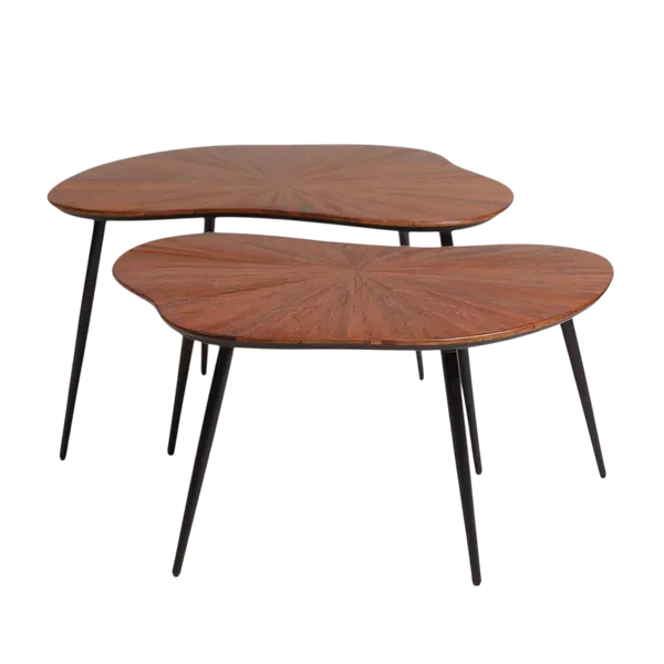 Table Basse Gigogne en Teck (2 dimensions)serie de deux  tables
